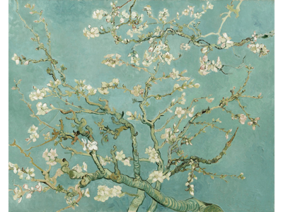 アーモンドの花咲く枝